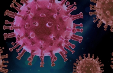 Coronavirus